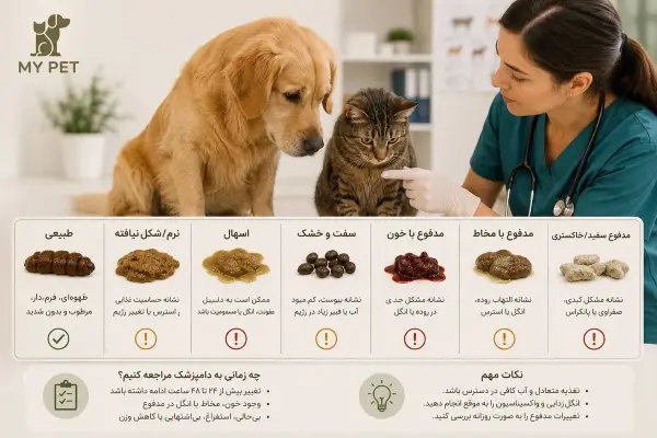 دامپزشک در حال بررسی وضعیت سلامت یک سگ و گربه، در کنار نموداری آموزشی از انواع مدفوع؛ تصویری واقعی و آموزشی که اهمیت بررسی رنگ، قوام و ظاهر مدفوع برای تشخیص زودهنگام مشکلات گوارشی، انگل‌ها و سایر بیماری‌های حیوانات خانگی را نشان می‌دهد. لوگوی رسمی MY PET در گوشه بالای سمت چپ تصویر قرار گرفته است.